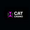 Cat Casino — лучшее онлайн-казино для всех любителей азартных игр