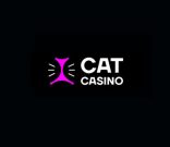 Cat Casino — лучшее онлайн-казино для всех любителей азартных игр